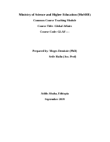 Global Affairs Module (final) (1).doc
